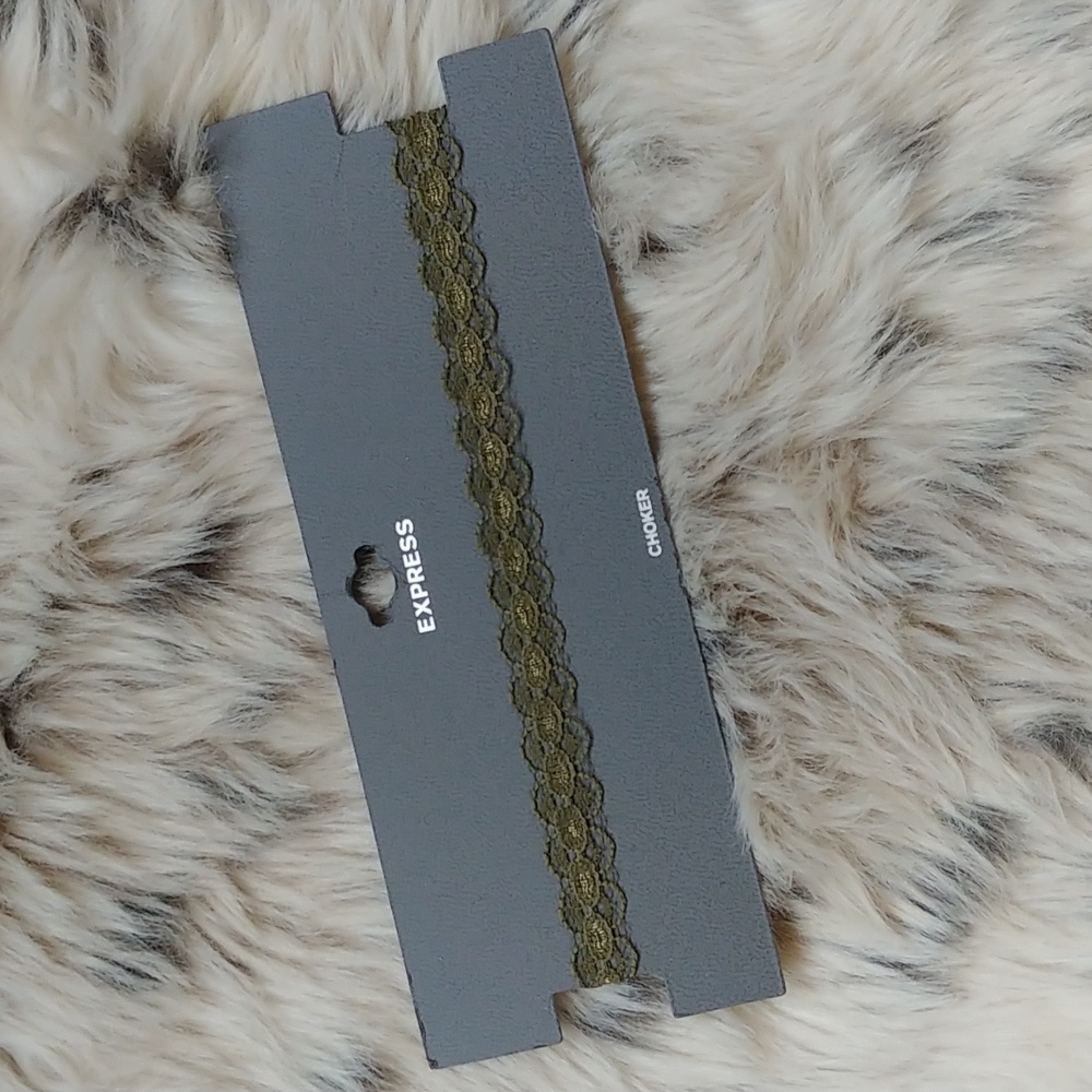 EXPRESS Lace Choker